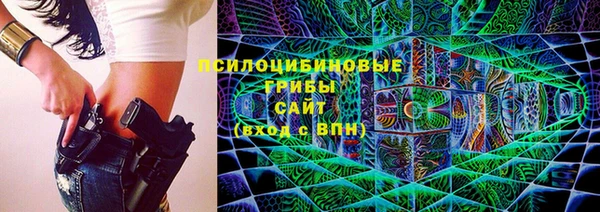 МДПВ Алексин