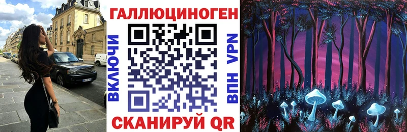 Галлюциногенные грибы прущие грибы  hydra tor  Ардон 